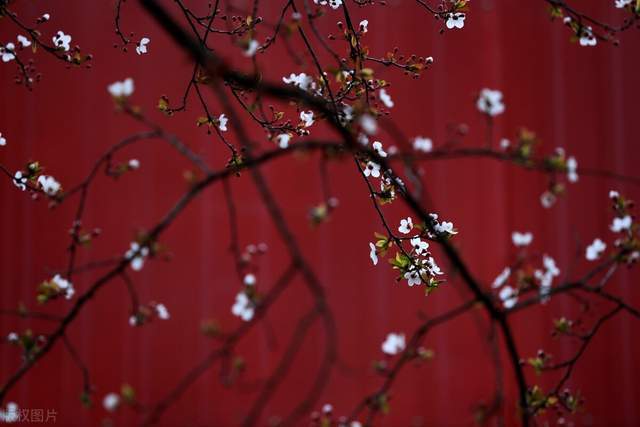 周运 佩妮 22年3月14日至日星座运势 腾讯新闻