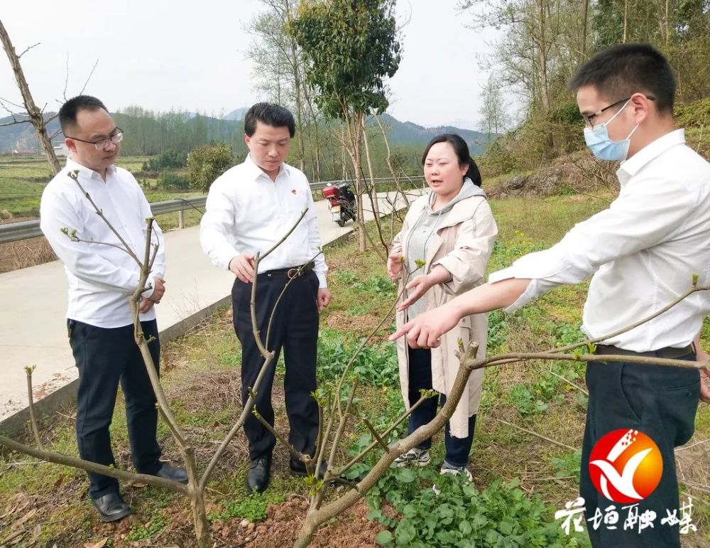 花垣县龙潭镇镇长图片