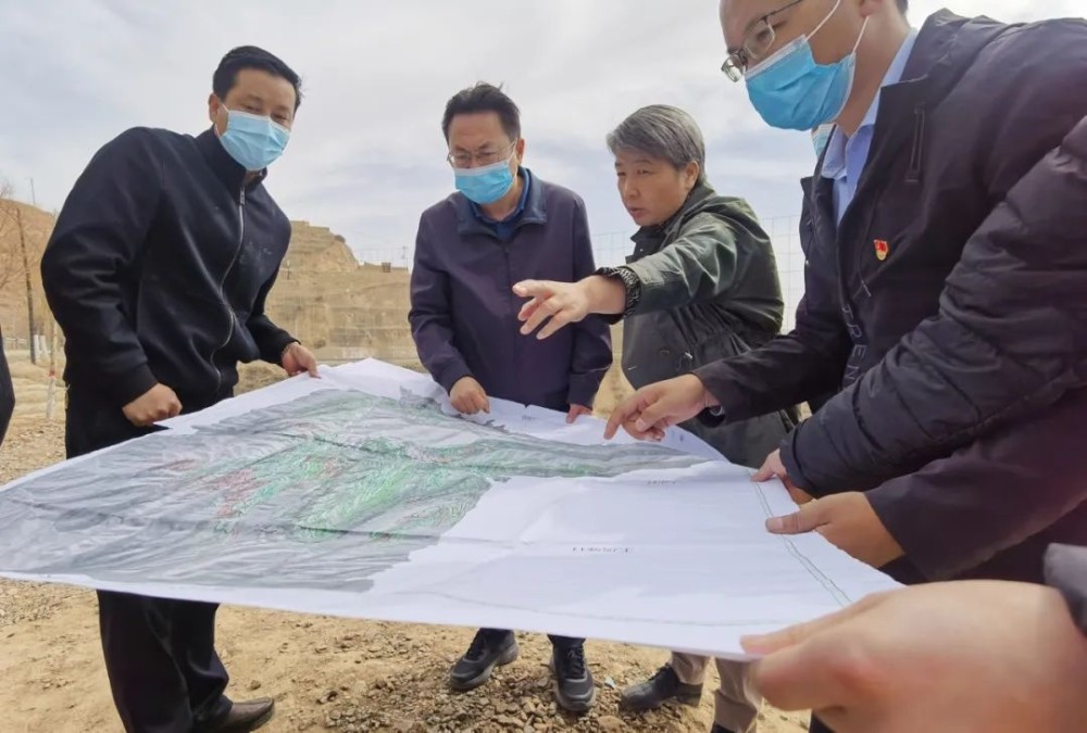 在东乡县泽民生态牧业农业专业合作社,河滩镇韩杨村桃香林果专业