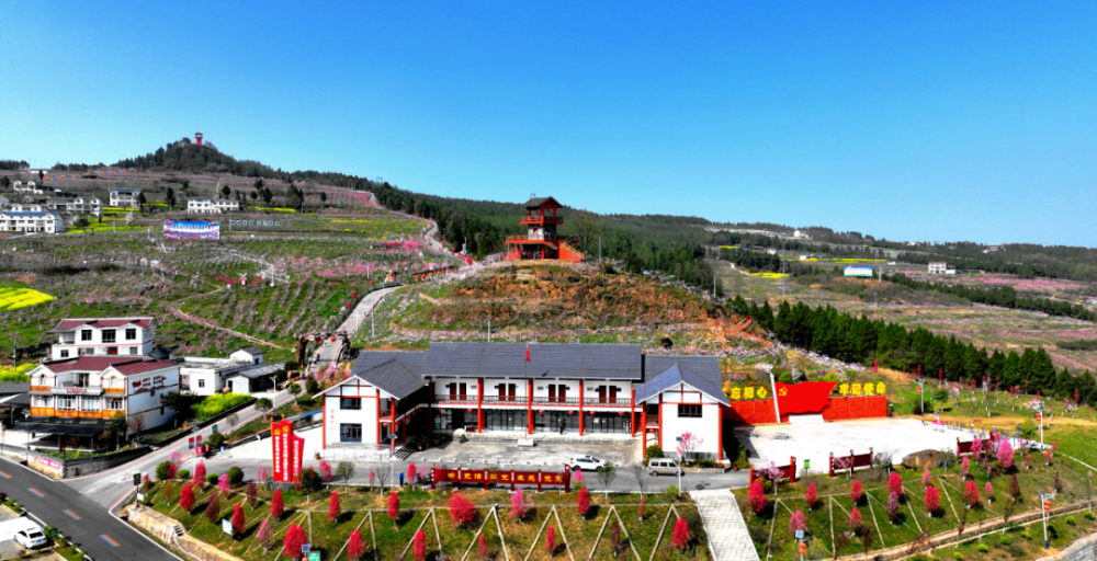 广元家门口的网红桃博园,速来打卡!