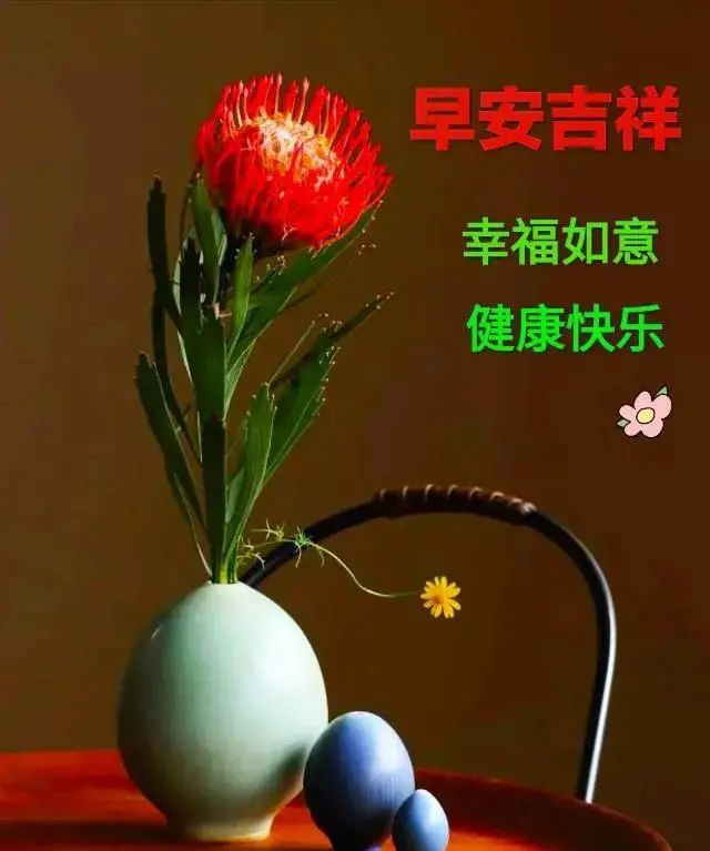 2022春天最受欢迎早上好问候表情图片 微信很美早上好表情图片问候