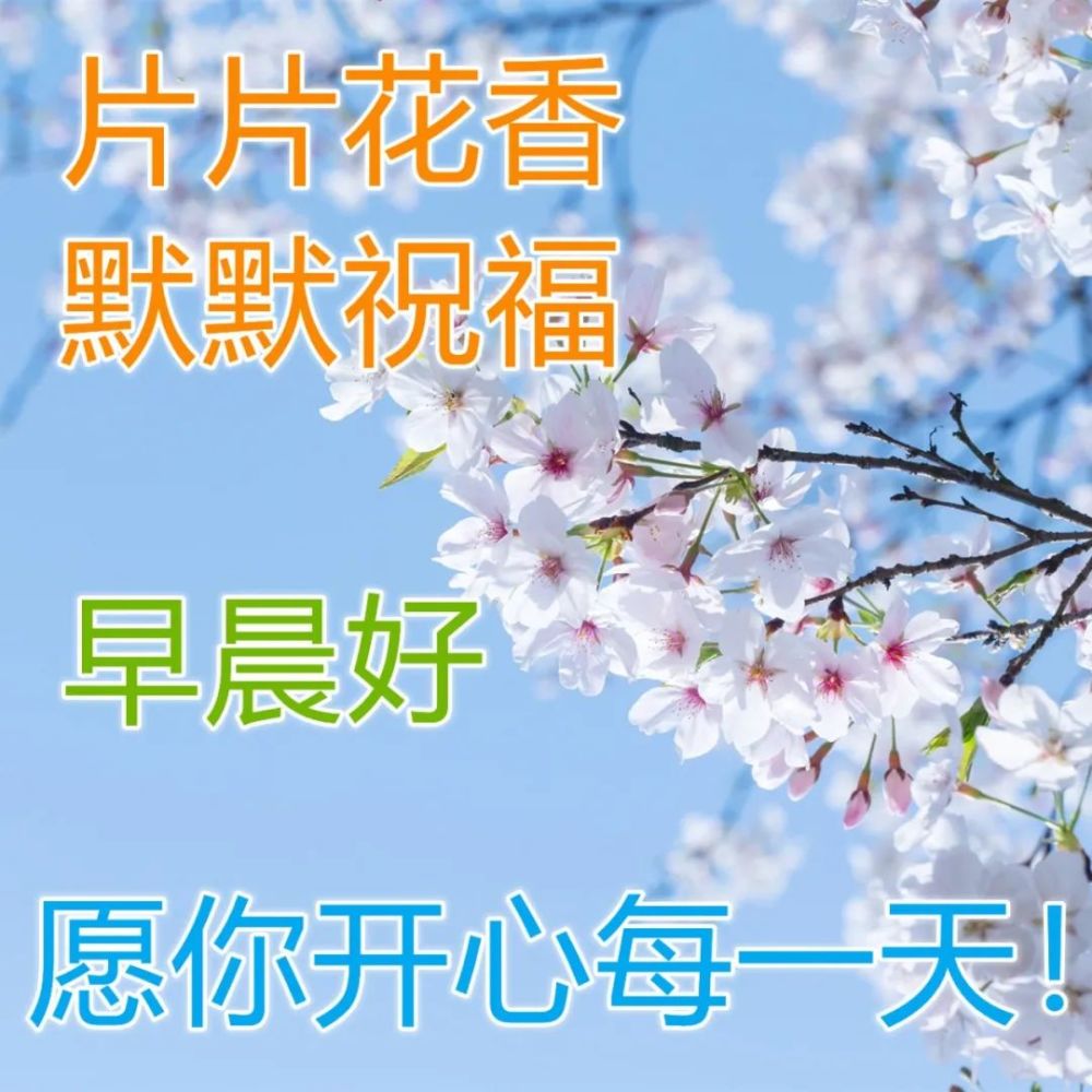 阳春三月最新早上好鲜花图片带字带祝福语朋友圈早安祝福问候语动画