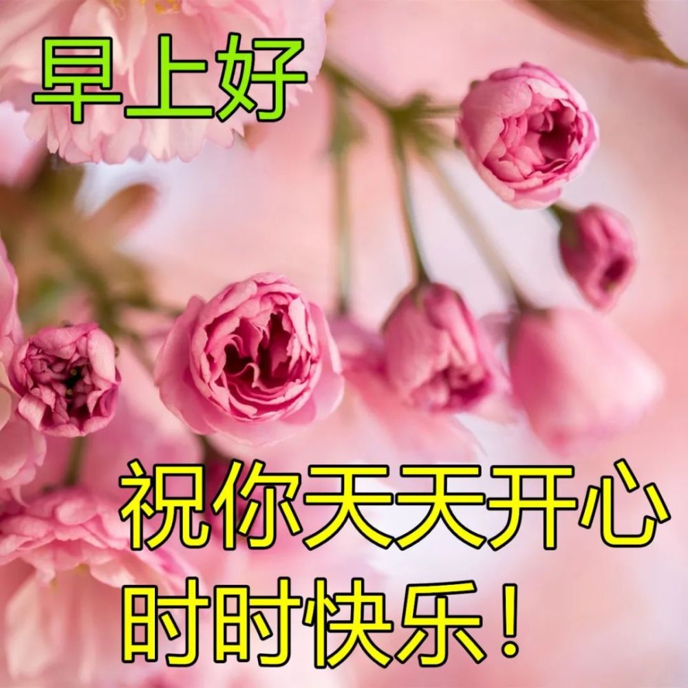 陽春三月最新早上好鮮花圖片帶字帶祝福語朋友圈早安祝福問候語動畫