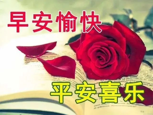 日常問候朋友早晨好動態表情圖片,春天來了早上好祝福語風景美圖精選