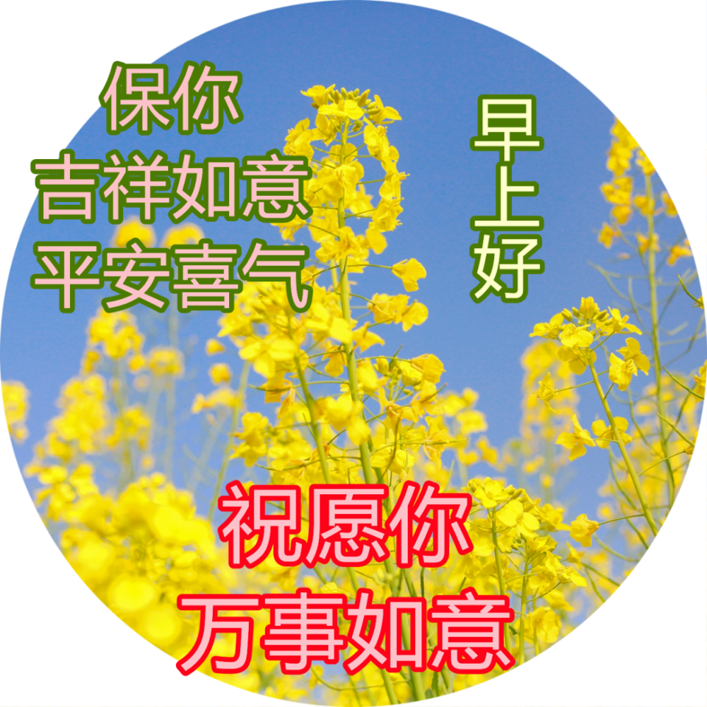 最美早晨好漂亮的祝福語錄圖片朋友圈精選唯美帶字早上好圖片大全