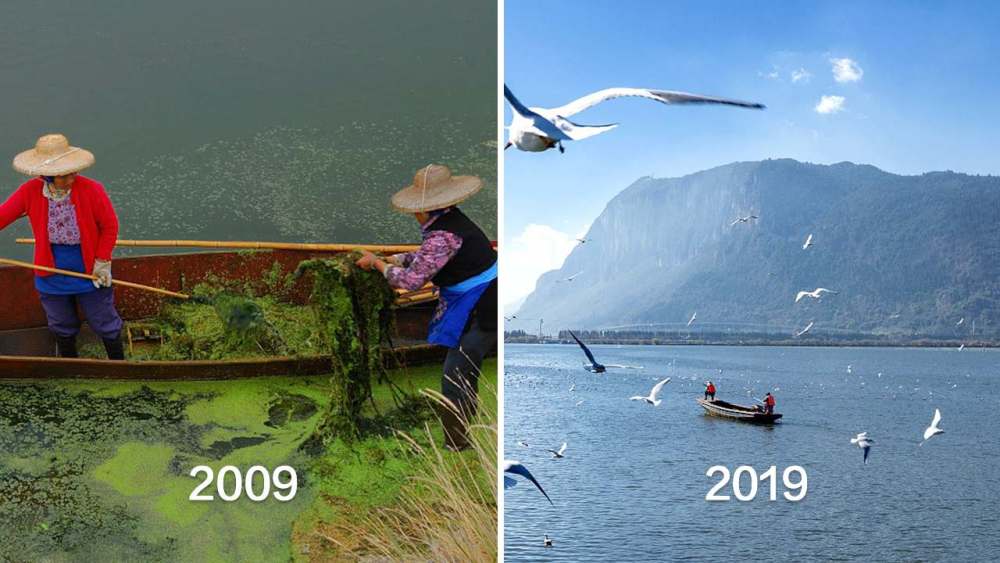 滇池的隐忧26年投入500多亿污水湖久治不愈问题在哪