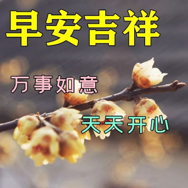 最新漂亮早安問候祝福動態圖片2022年最美暖心的問候祝福語