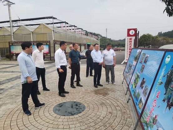 蒋俊善深入零陵区调研乡村振兴工作|连村|香零山村