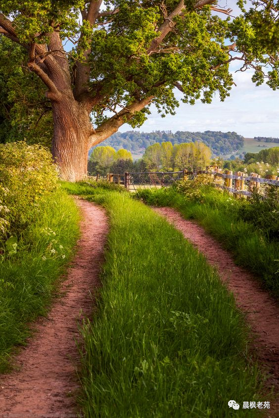 你在城里看不到的那些乡间的小路