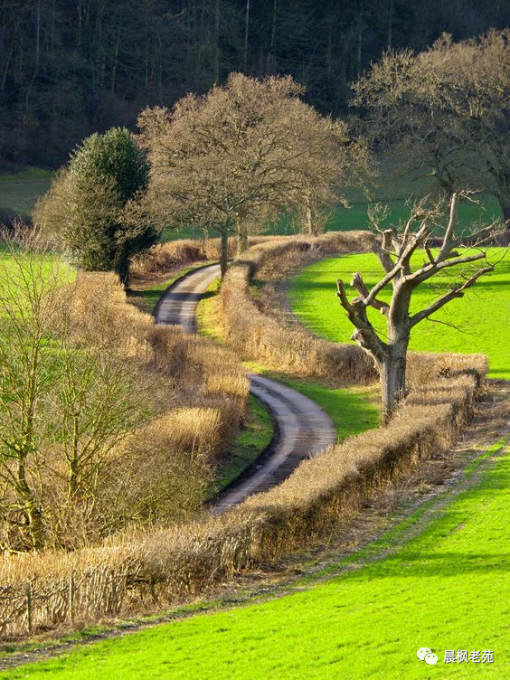 你在城里看不到的那些乡间的小路