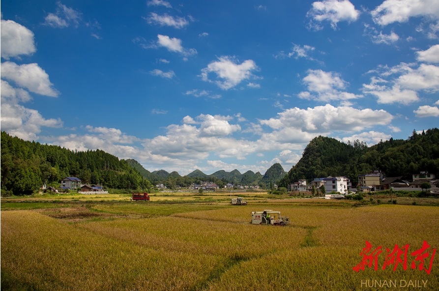 保靖县阳朝乡:春耕备耕让乡村更美丽_腾讯新闻