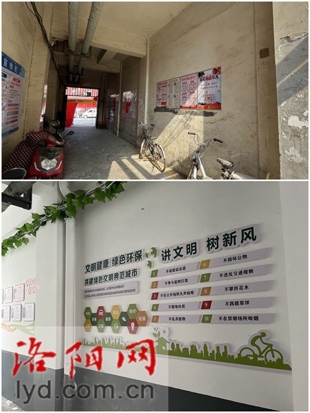 小区完成微改造文明社区靓起来视频