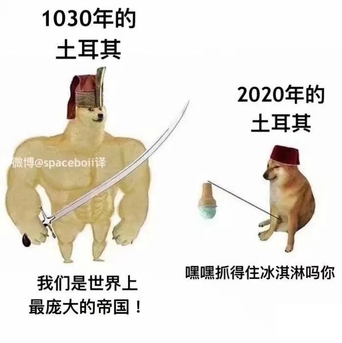 刷屏几亿人表情包的柴犬cheems正成为下一个doge