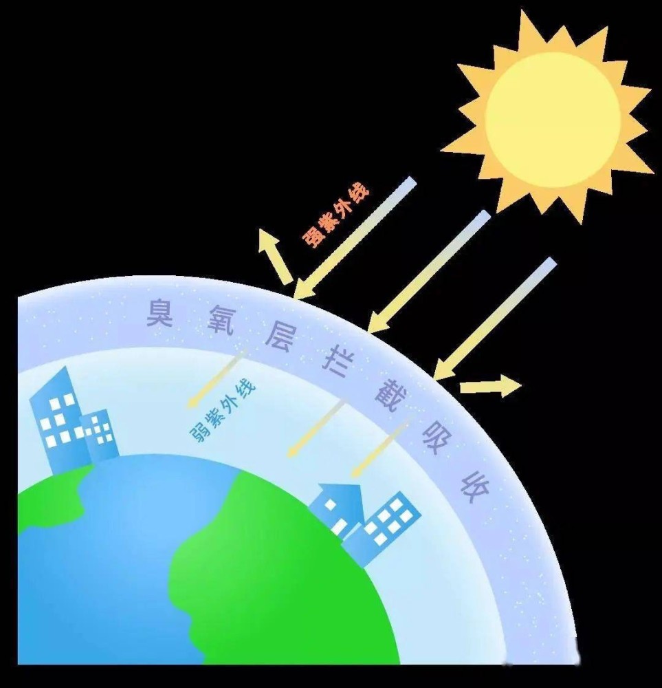 很多动物能看到紫外线恰恰因人类看不见证明了人类是天选之子