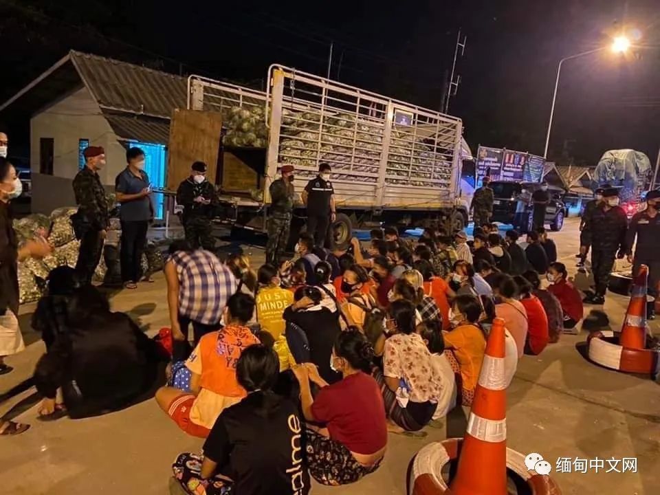 50多名缅甸人挤在一辆装满蔬菜的货车内偷渡