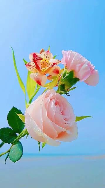 如果有一天 主动的人 不再主动了 天天看点