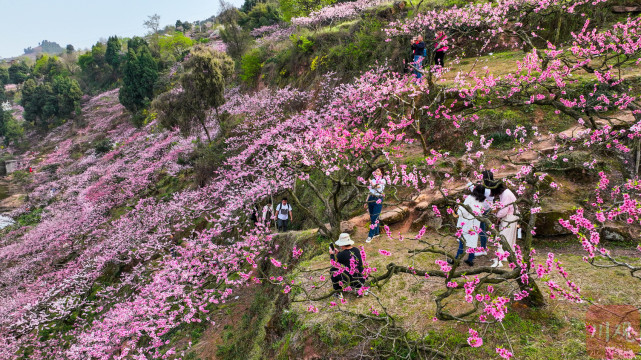 清远十里桃花谷图片