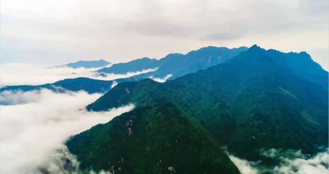 青涧幽幽,山花烂漫,青石有个中界岭|蕲春县|青石镇|中界|岭村