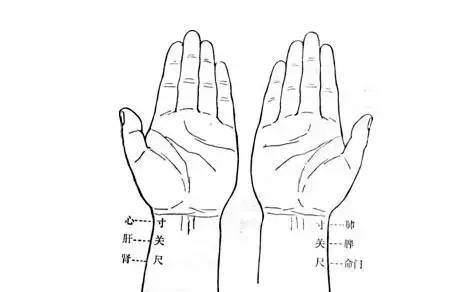 把脈不是隨便把手指往手腕上一搭就可以,找對位置很關鍵!