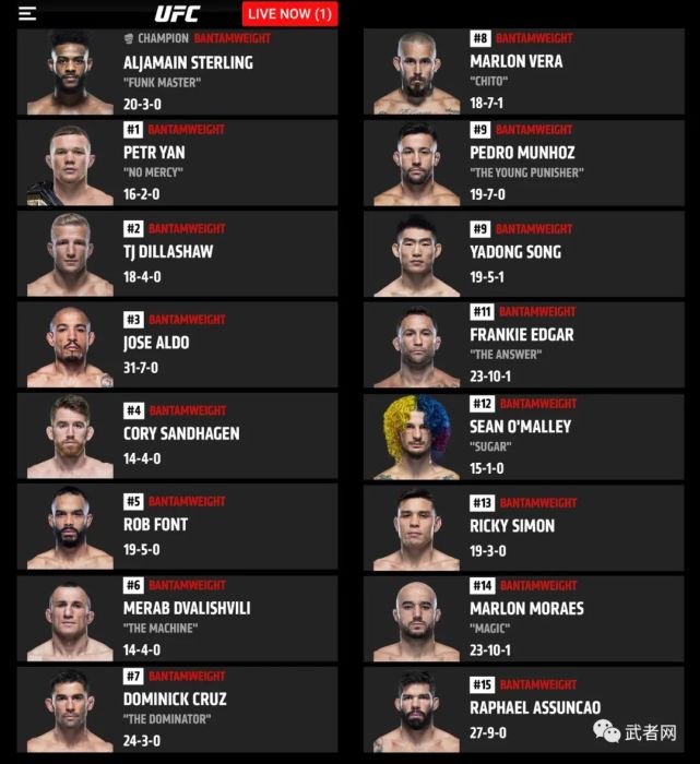 他是目前在ufc官方排名最高的中国男子选手,也是首位进入ufc官方排名