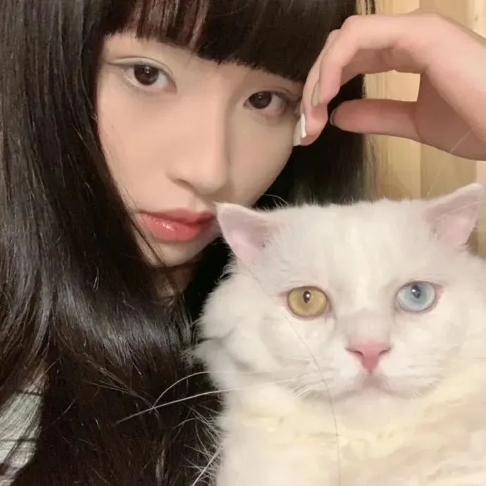 哈尔滨佳音英语好不好小巧鸽子蛋指环王复古女子开启还嫌戒指