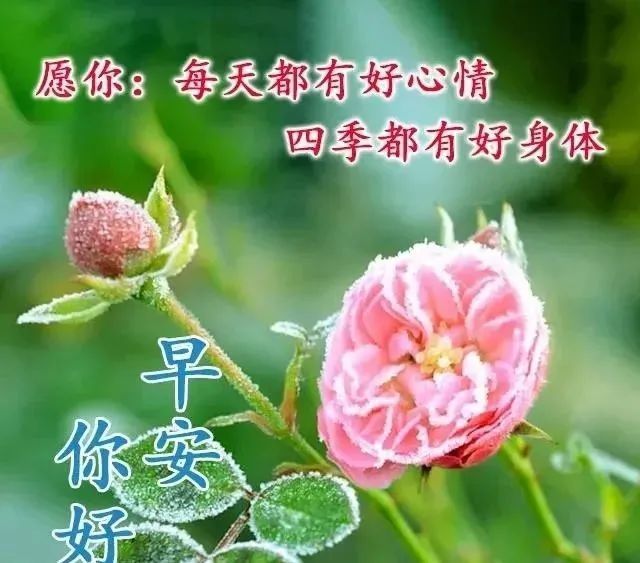 3月16日最新版漂亮早晨好图片带字温馨 早上好动画表情图片大全