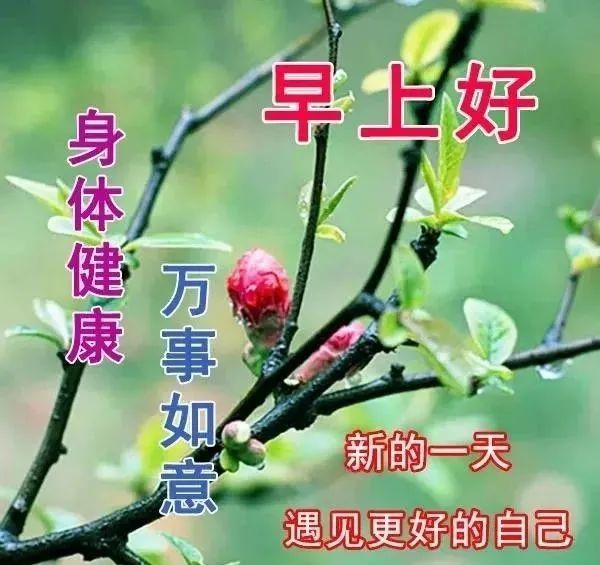 3月16日最新版漂亮早晨好图片带字温馨 早上好动画表情图片大全