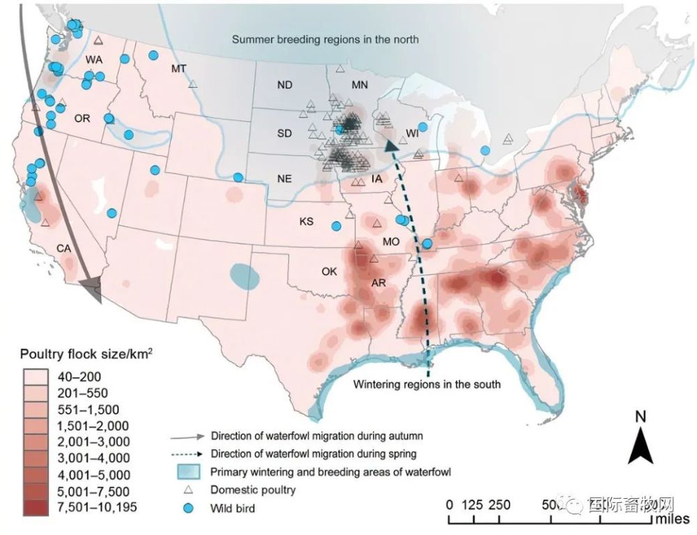 路透社(reuters)报道,在美国家禽农场爆发禽流感后,作为回应,包括中国