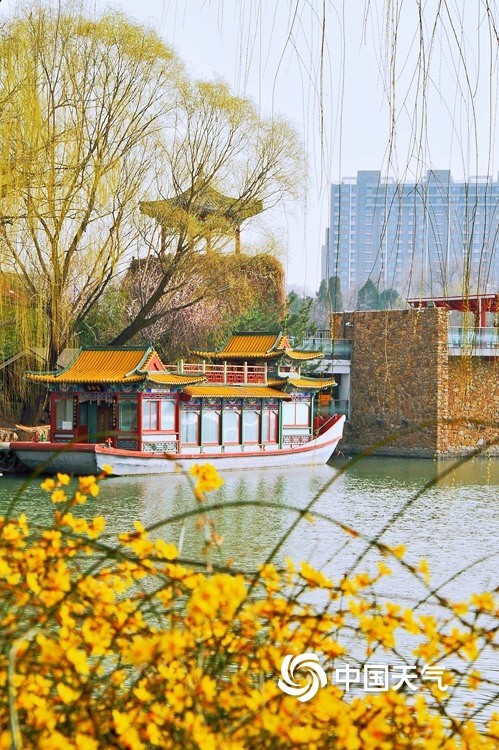 春意萌动北京紫竹院公园春花渐次开放