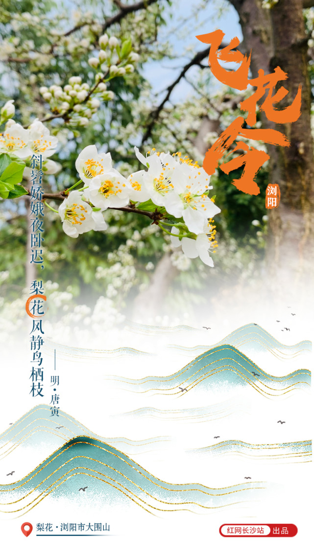 诗词海报飞花令浏阳