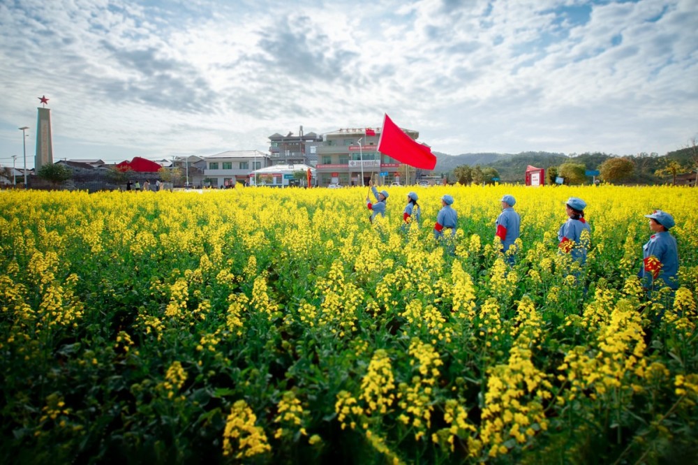 江西南豐戰地花開遍地香蘇區精神放光芒