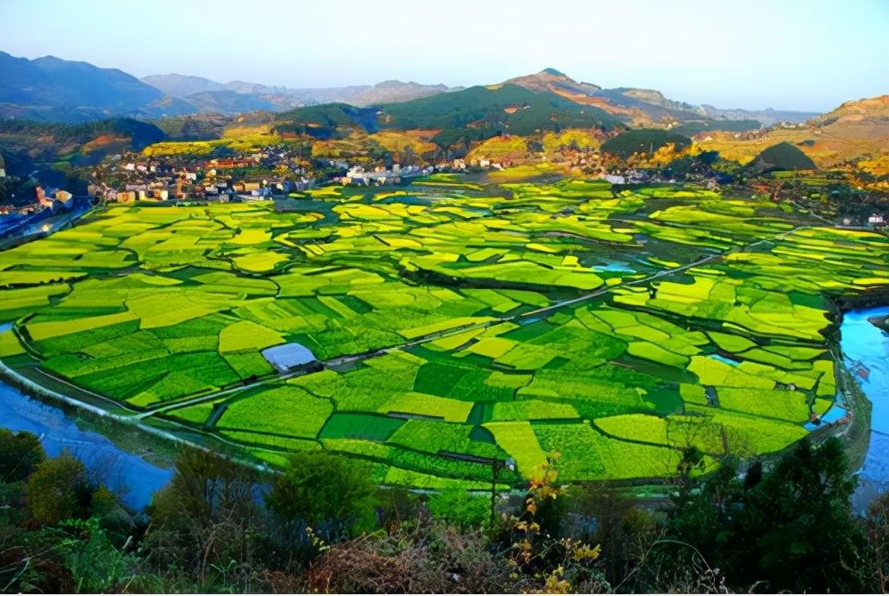 贵州这些油菜花海你去过几处