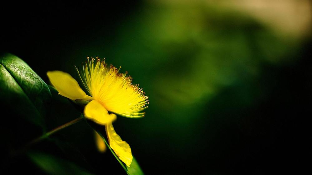 再熬49日 四大生肖生活舒心惬意 财神爷贵人助威 生活舒心惬意 腾讯新闻