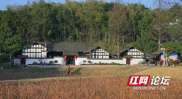 春来探访"山乡巨变第一村":周立波笔下的故乡原来这么美