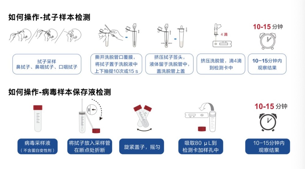 核酸试纸怎么用图片