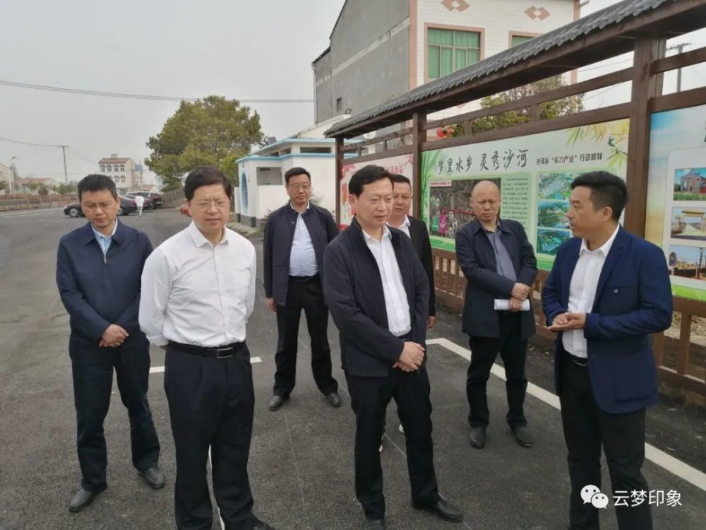 市领导陈惠霞来云梦调研