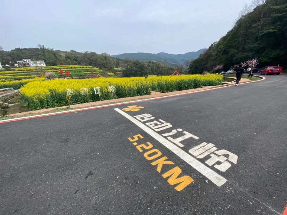 上饶春日心花young婺源网红公路新颜上线赶紧邀上家人和朋友一起去