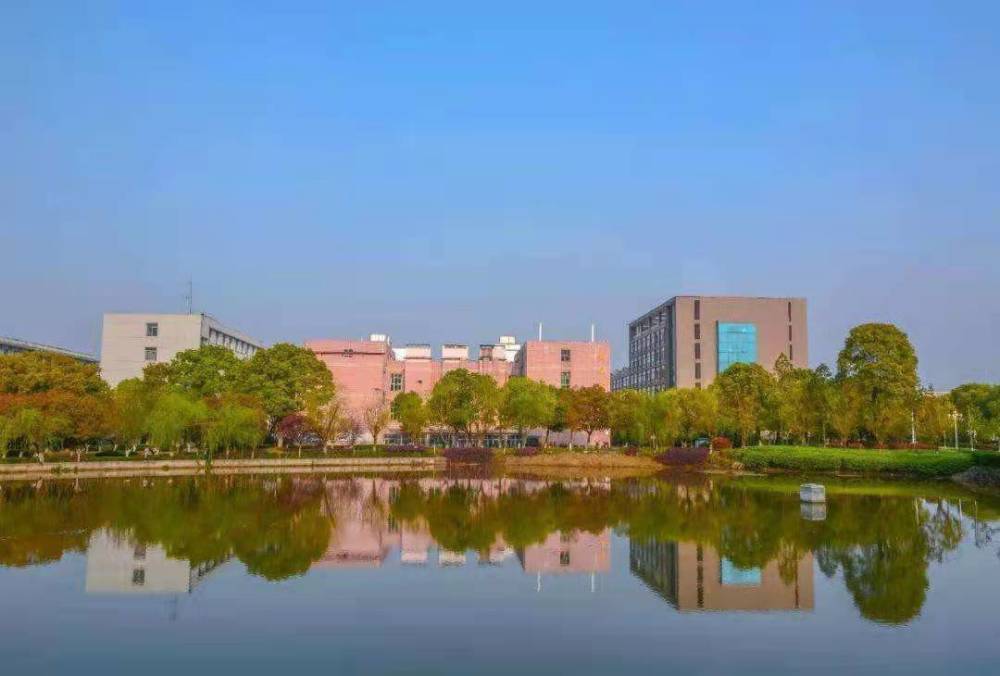 全国高校基佬排行_中国高校杰青人数排行榜