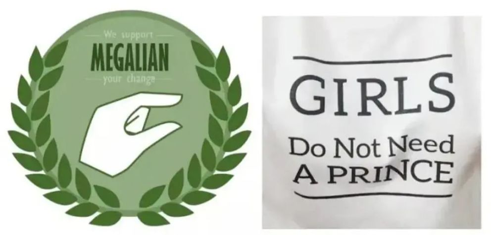 上有类似"金针菇"的表述,其实一脉相承:但是事后在megalia这种网站上