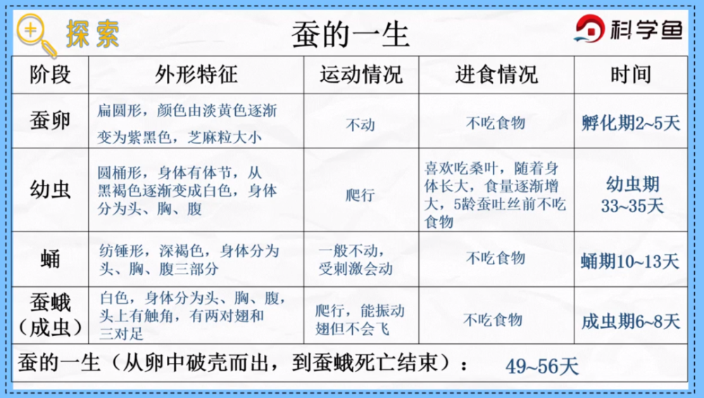 三年级下《蚕的一生|科学鱼网课_腾讯新闻