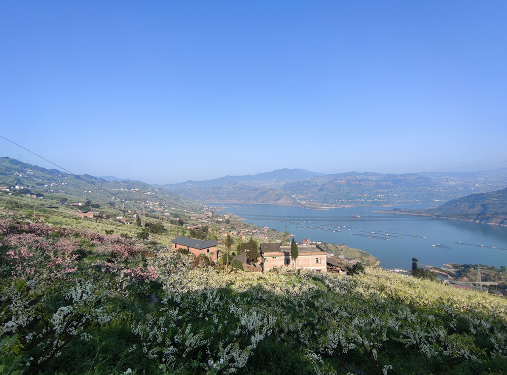 石林万家欢蓝莓庄园, 晴转多云, 12~28度楚雄彝人古镇, 晴, 14~28度