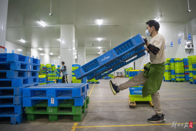 松江生鲜电商仓库日均处理超75万件,分拣小哥凌晨忙到"飞起"