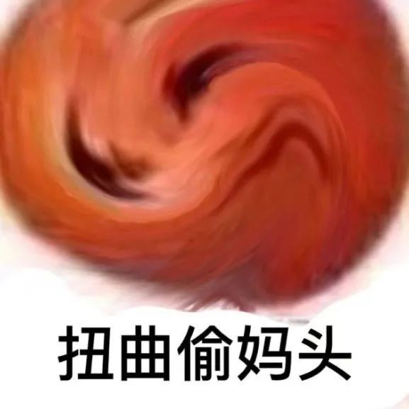 偷妈头和破忒头表情包合集