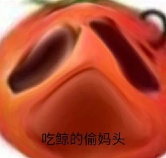 偷妈头和破忒头表情包合集