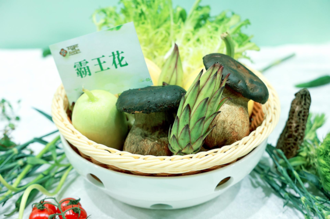 泸州酒城宾馆第五届野菜节隆重开幕