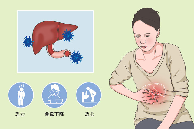 七类人群易被丙肝盯上,主动筛查,让你提前缚住沉默杀手
