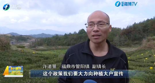 与此同时点头,磻溪,太姥山等乡镇,也强力推进抛荒地整治工作,鼓