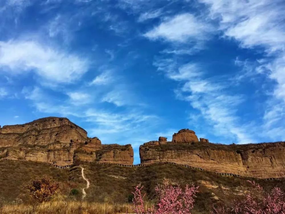 绝美上百只苍鹭现身承德县仓子乡唐家湾景区