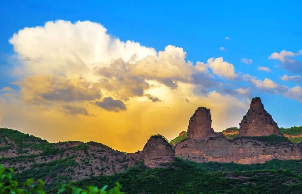 绝美上百只苍鹭现身承德县仓子乡唐家湾景区