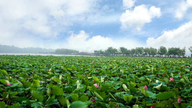 1,地址:垣曲縣皋落鄉嶺回村;鄉村旅遊線路(點):美食推薦:垣曲鍋盔